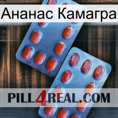 Ананас Камагра 05